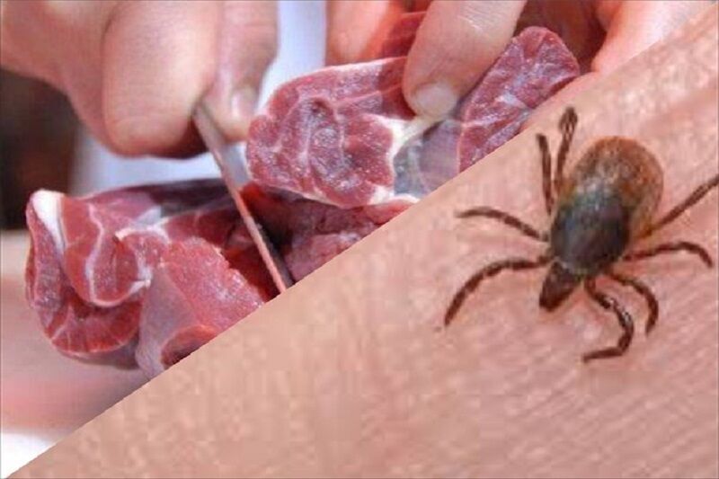 افزایش مبتلایان تب کریمه کنگو  به ۳۴ نفر