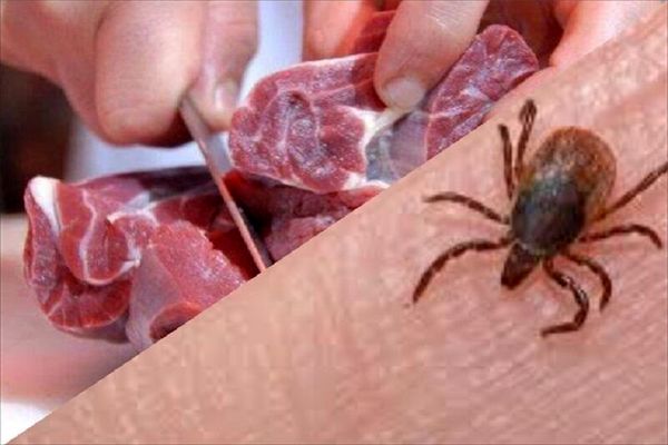 افزایش مبتلایان تب کریمه کنگو  به ۳۴ نفر
