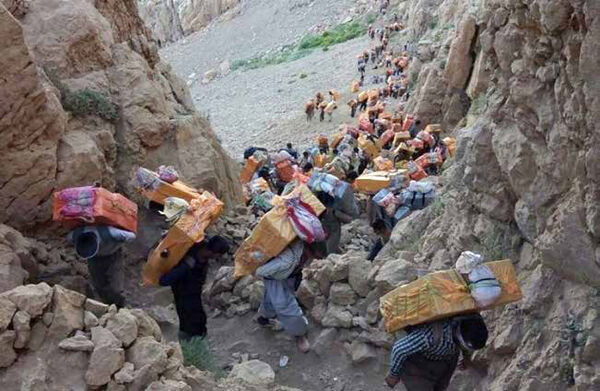 با کولبری مقابله کنید، نه کولبران