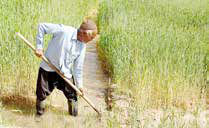 
سهم ۲۷درصدی روستاها از چرخه تولید کشور