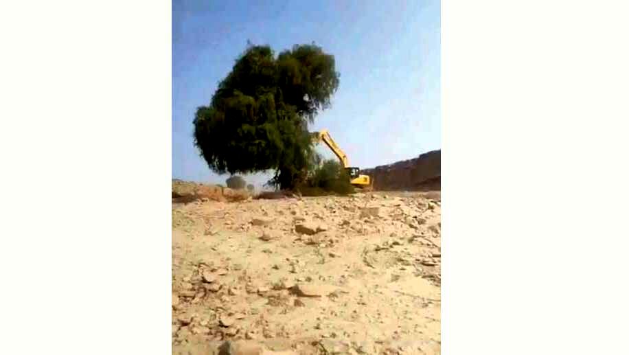 چرا محیط زیست قربانی چابک‌سازی دولت شد؟!