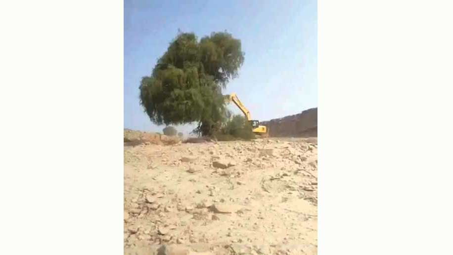 چرا محیط زیست قربانی چابک‌سازی دولت شد؟!