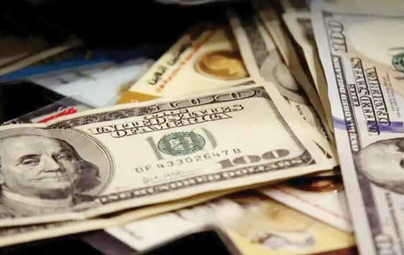 آسیب به کشور با «ژست ارز داریم»