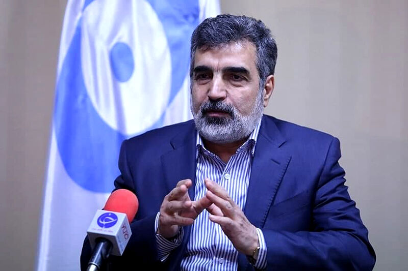

تمرکز ما بر همکاری هسته‌ای با روسیه است