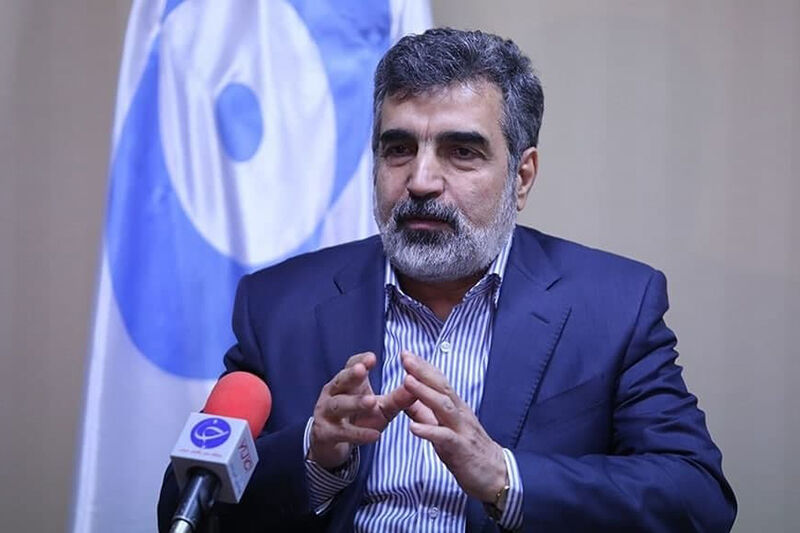 

تمرکز ما بر همکاری هسته‌ای با روسیه است