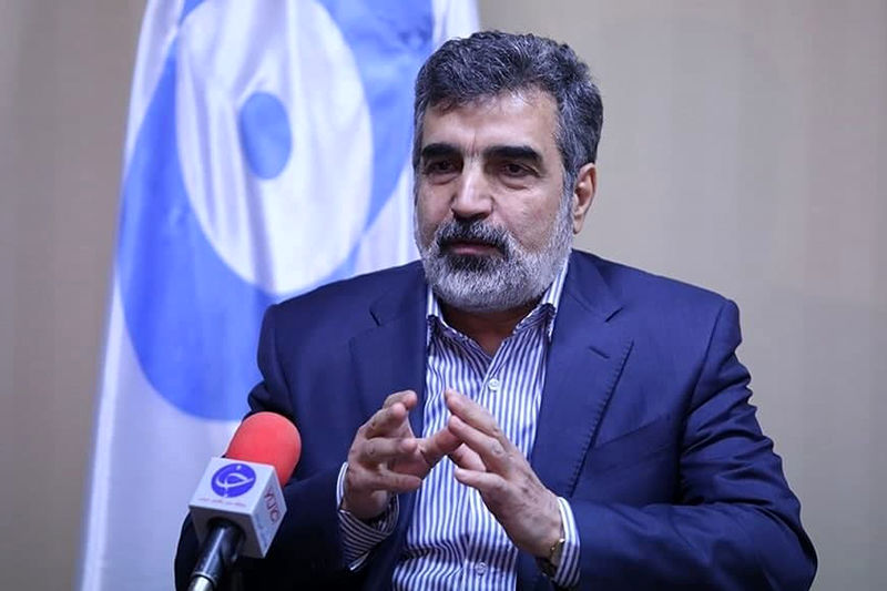 

تمرکز ما بر همکاری هسته‌ای با روسیه است