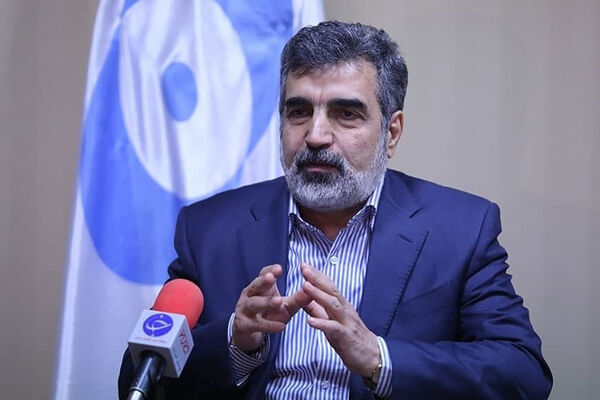 

تمرکز ما بر همکاری هسته‌ای با روسیه است