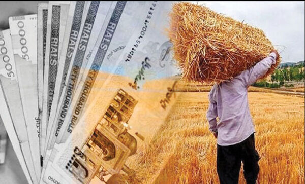 سال سخت پرداخت مطالبات گندم‌کاران!