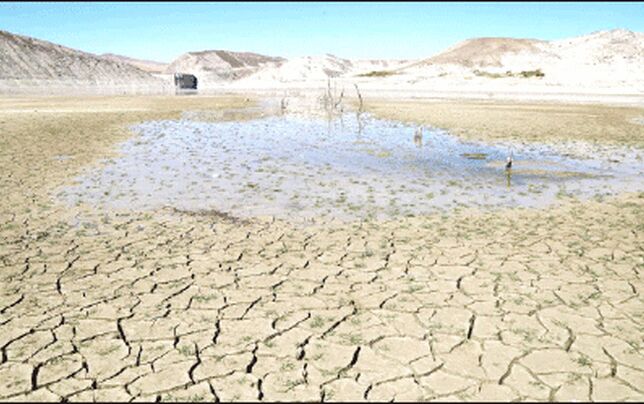 دست تطاول به خود گشود‌ه‌ایم