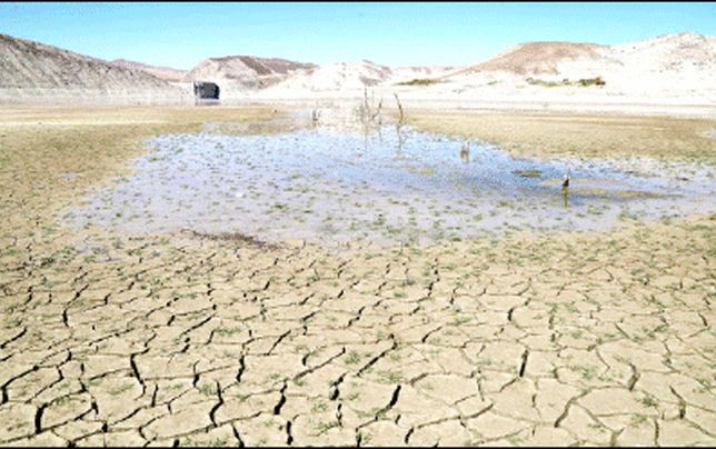 دست تطاول به خود گشود‌ه‌ایم