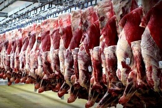 واردات گوشت قرمز گرم  از روسیه و پاکستان آغاز شد