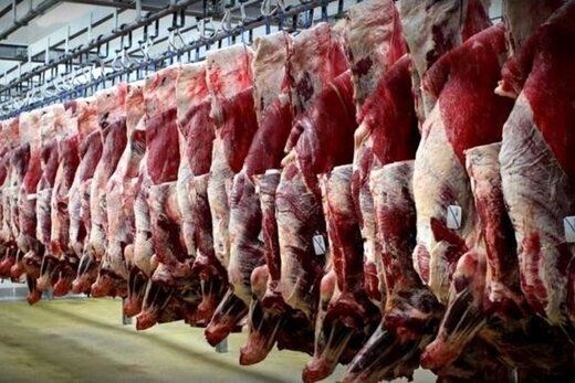 واردات گوشت قرمز گرم  از روسیه و پاکستان آغاز شد