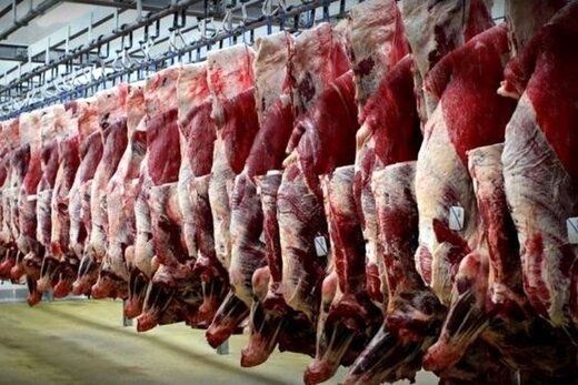 واردات گوشت قرمز گرم  از روسیه و پاکستان آغاز شد