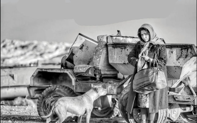 فیلم‌هایم راه‌حل ارائه نمی‌دهند