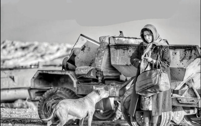 فیلم‌هایم راه‌حل ارائه نمی‌دهند