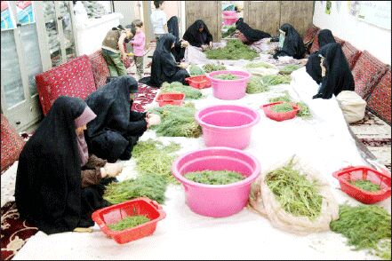 فرودستانی که از حمایت دولتی جا ماندند