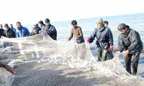 
دولت به فکر امنیت شغلی و معیشت صیادان و لنج‌داران باشد