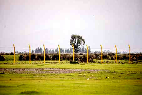 مطالبه برای بازپس‌گیری زمین «پتروشیمی میانکاله»