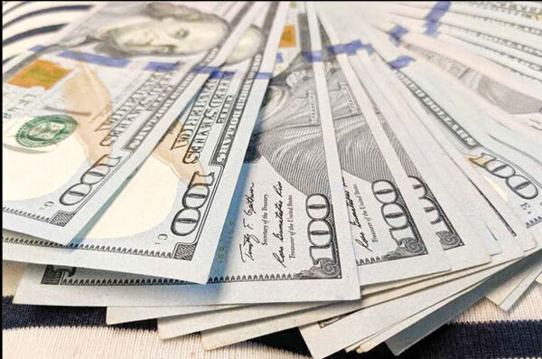  پای ارز دستوری در بودجه 1403 به میان آمد
