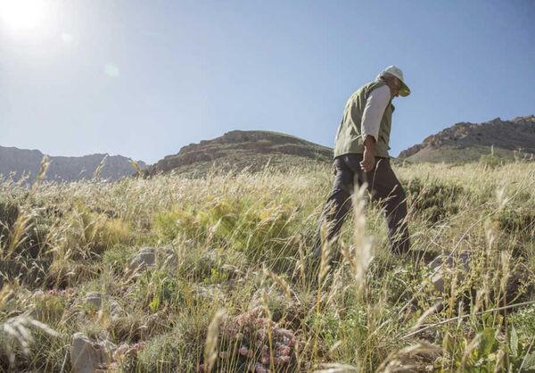 قرق‌بانان جنگل‌های مازندران همچنان در تنگنای معیشتی به‌سر می‌برند