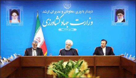 گرفتاری دولت تامین نهاده‌های دامی است