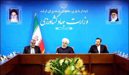 گرفتاری دولت تامین نهاده‌های دامی است