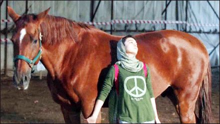 گلساها بر لبه تیغ راه می‌روند