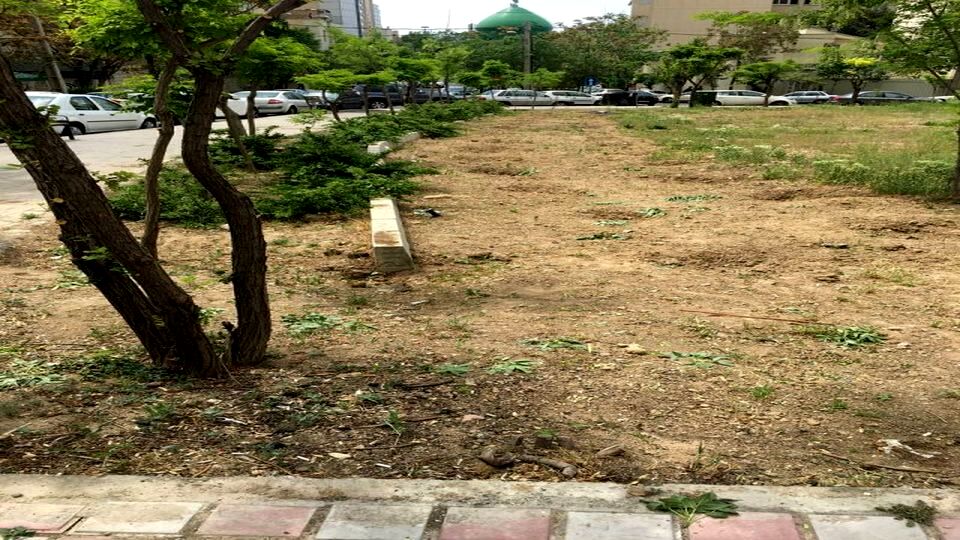 واکنش امانی به جابه‌جایی شبانه درخت‌ها در چیذر