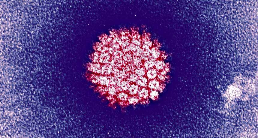 به آگاه‌سازی در  مورد HPV ورود می‌کنیم