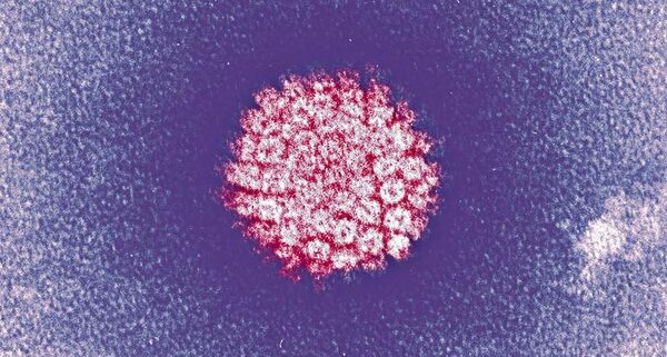 به آگاه‌سازی در  مورد HPV ورود می‌کنیم