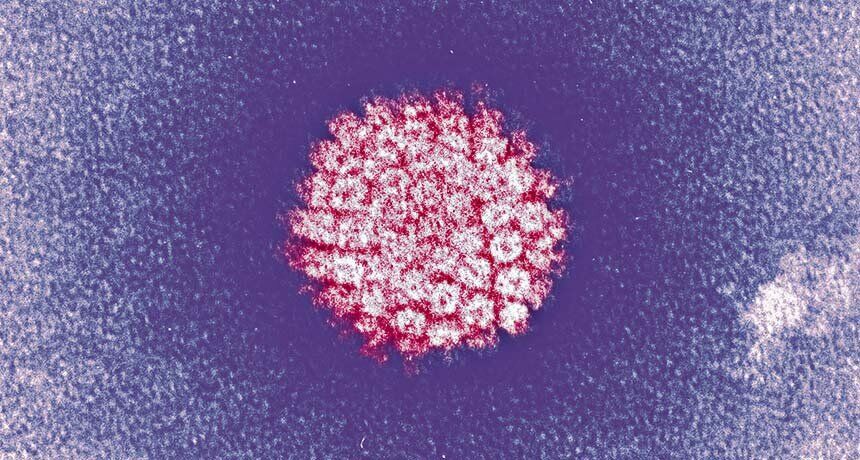به آگاه‌سازی در  مورد HPV ورود می‌کنیم