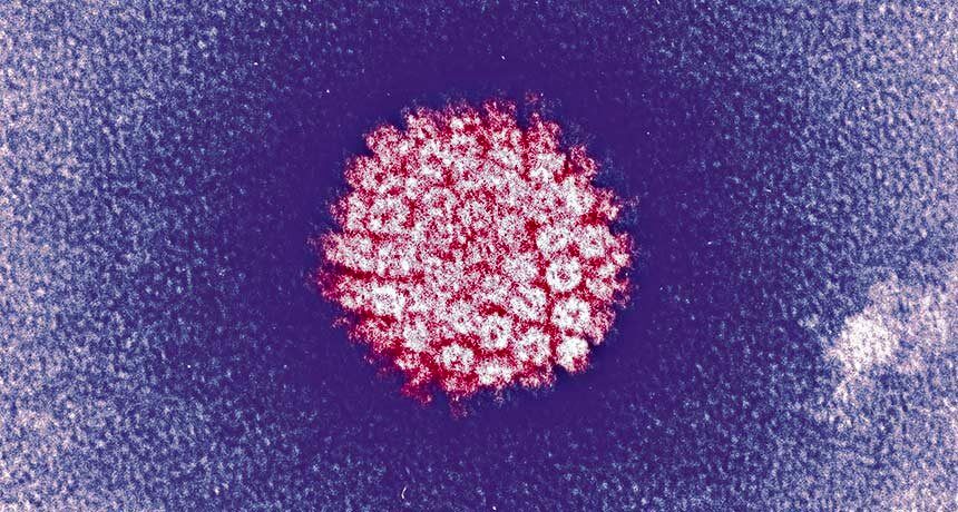 به آگاه‌سازی در  مورد HPV ورود می‌کنیم