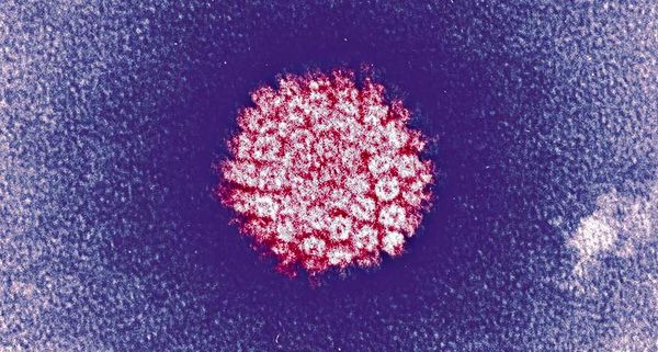 به آگاه‌سازی در  مورد HPV ورود می‌کنیم