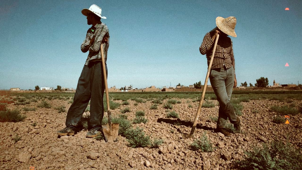 زمین‌خواران زندگی روستا‌نشینان را به سنگر اقتصادی بدل کردند
