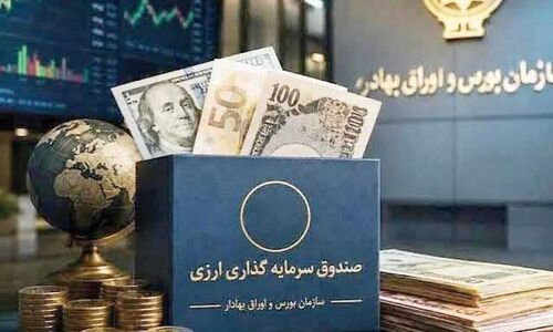 منابع صندوق ارزی به نهادهای خصولتی تخصیص نیابد