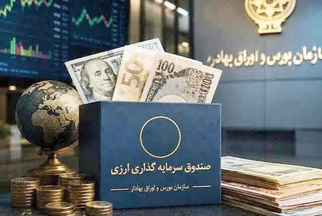 منابع صندوق ارزی به نهادهای خصولتی تخصیص نیابد
