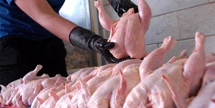 افزایش چندباره قیمت مرغ 