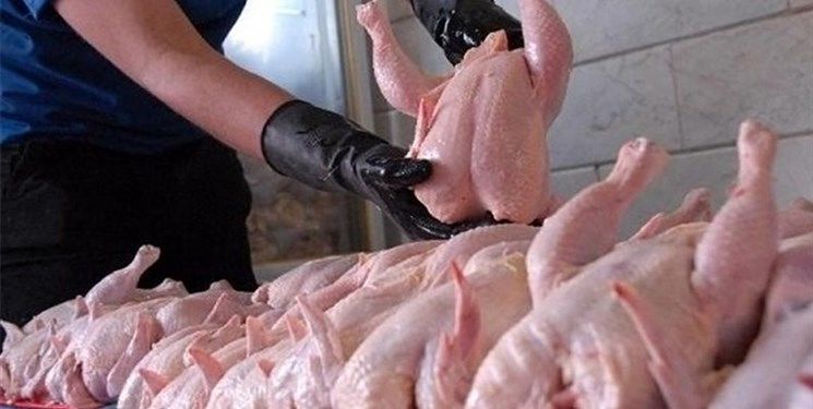 افزایش چندباره قیمت مرغ 