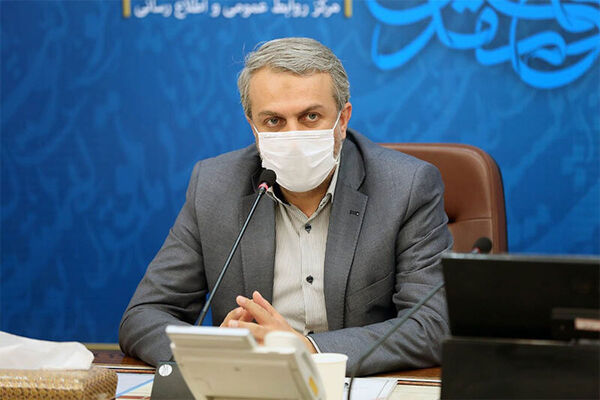 فاطمی امین : آیین‌نامه واردات خودرو به دولت رفت