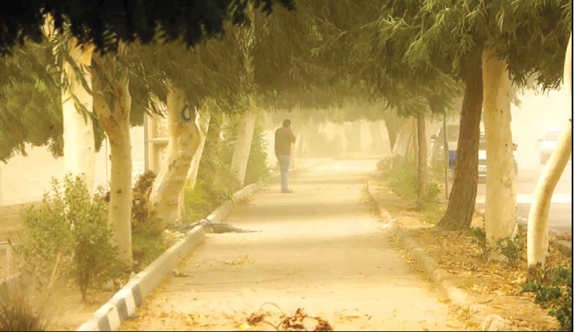 
شهری آلوده برای همه فصل‌ها