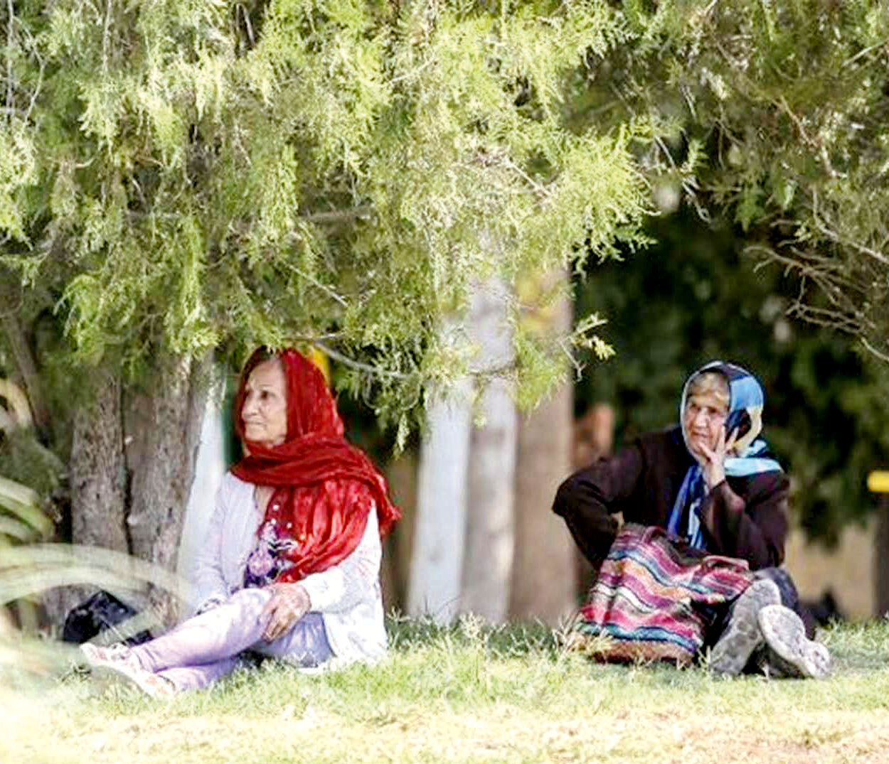 به شدت به سمت تنهایی و سالمندان تنها می‌رویم
