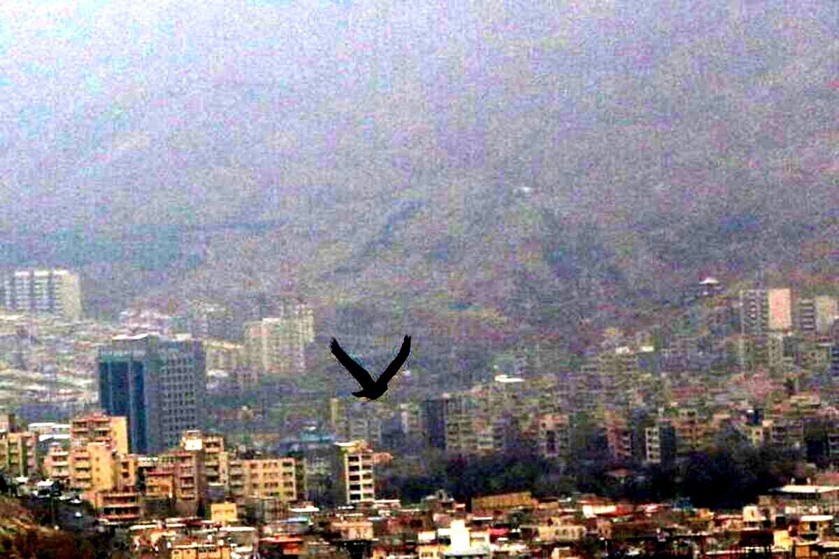 هشدار نارنجی هواشناسی  نسبت به آلودگی هوا