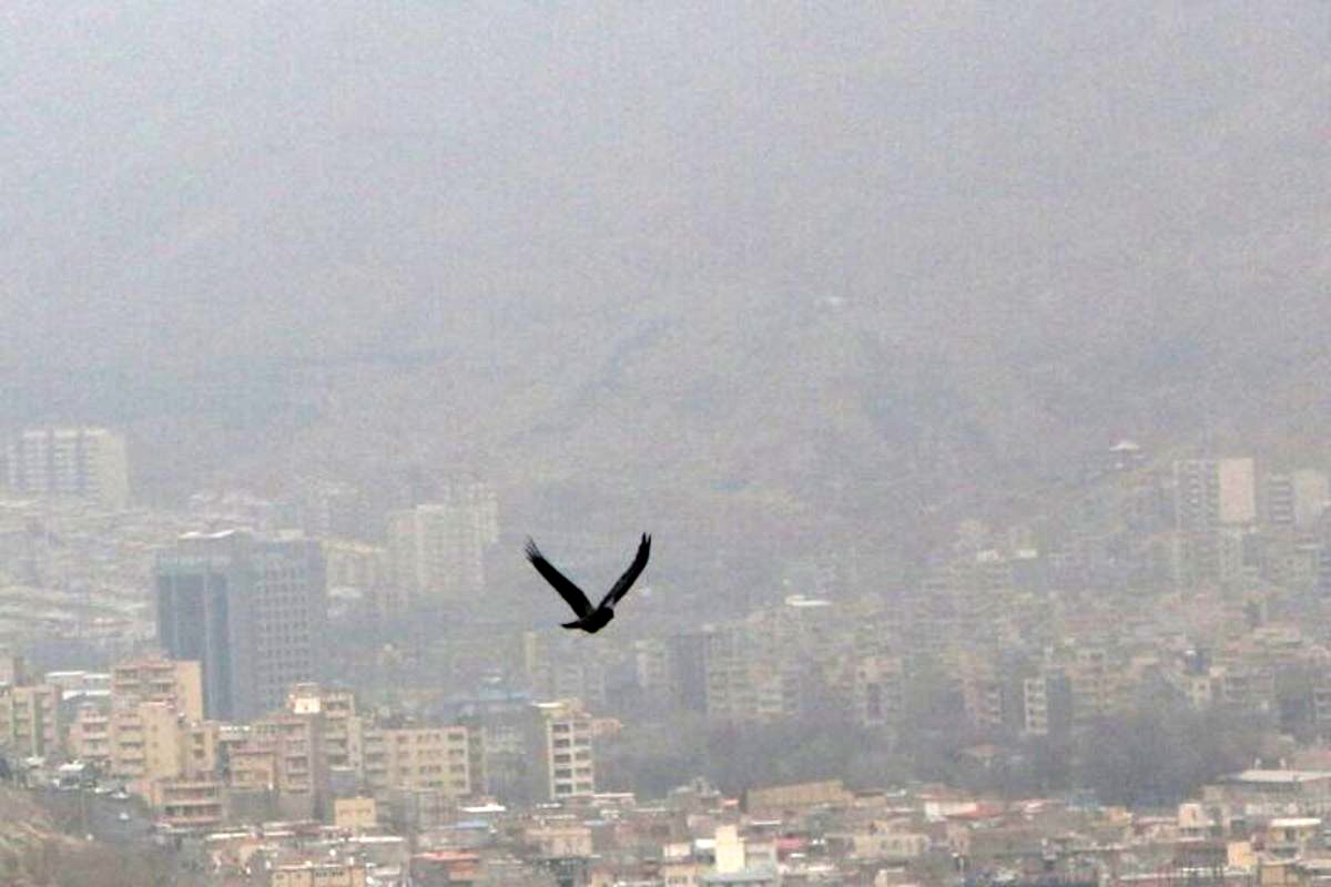 هشدار نارنجی هواشناسی  نسبت به آلودگی هوا