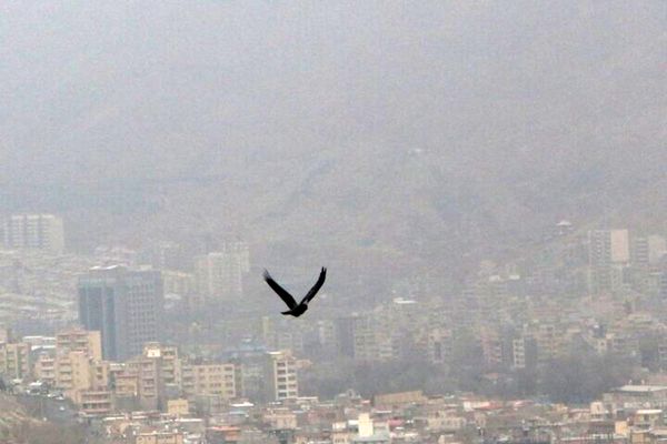 هشدار نارنجی هواشناسی  نسبت به آلودگی هوا
