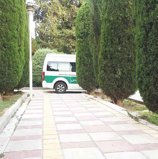 
اما و اگرهای تکرار  یک سنت تابستانی