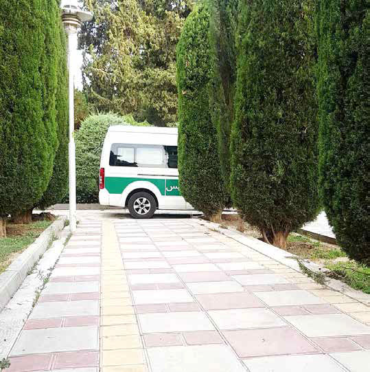 
اما و اگرهای تکرار  یک سنت تابستانی