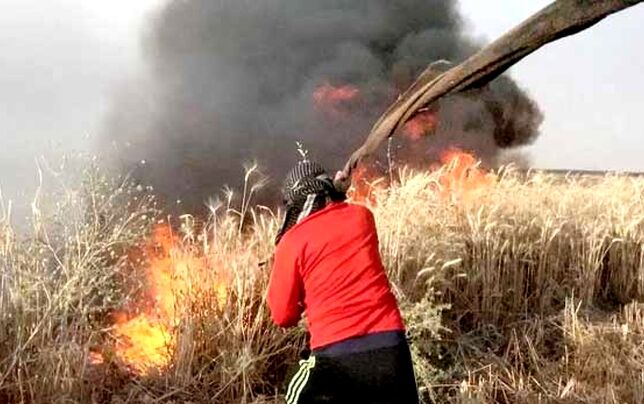 
اعزام بالگرد آب‌پاش برای مهار آتش‌سوزی منطقه حفاظت‌شده خاییز
