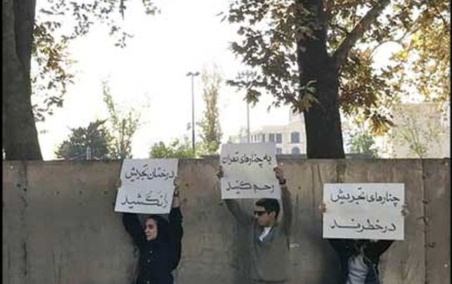 تجمع اعتراضی شهروندان تهرانی 

به قطع درختان تجریش 