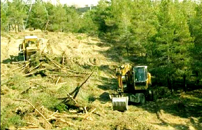 

تخریب محیط‌زیست به ریسک اقتصادی تبدیل شده است