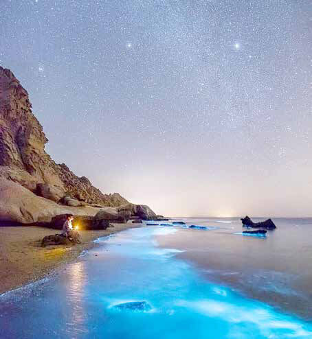 
لارک؛ نگین درخشان خلیج فارس
